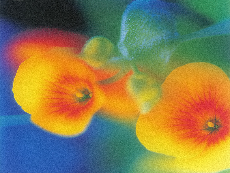 Full Stack Alignment