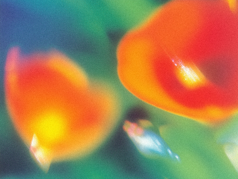 What are Human Values?